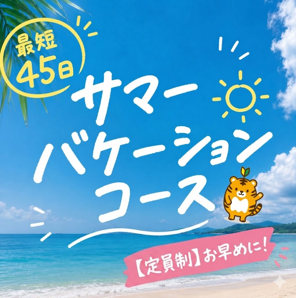 サマーバケーションコース