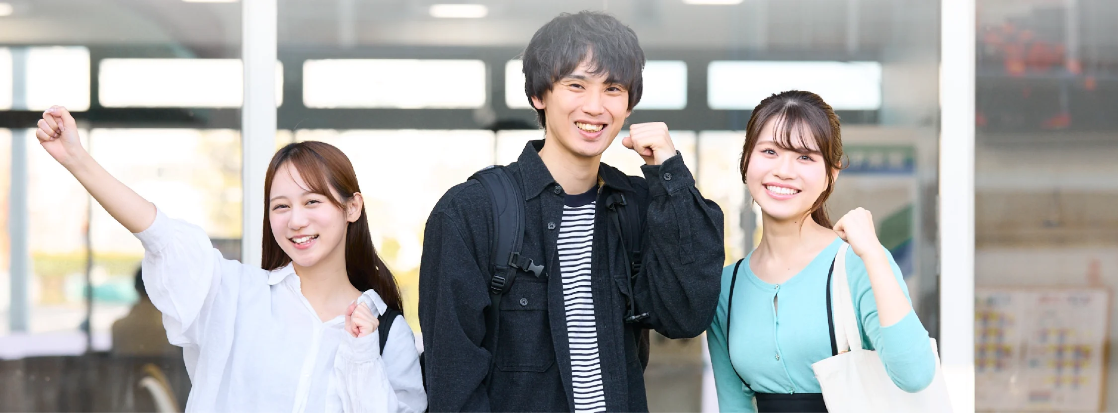 メードラをのぞいてみよう